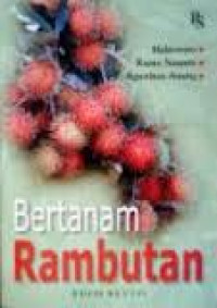 Image of bertanam rambutan