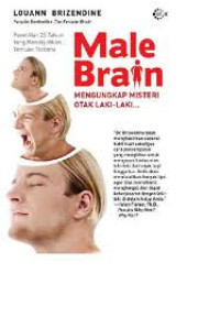 Image of Male brain