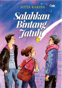 Image of Salahkan bintang Jatuh